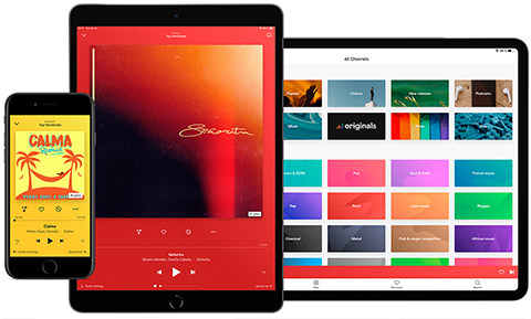 deezer tizen os